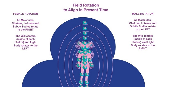 Image of field rotation. Charts & Diagrams, Volume 4