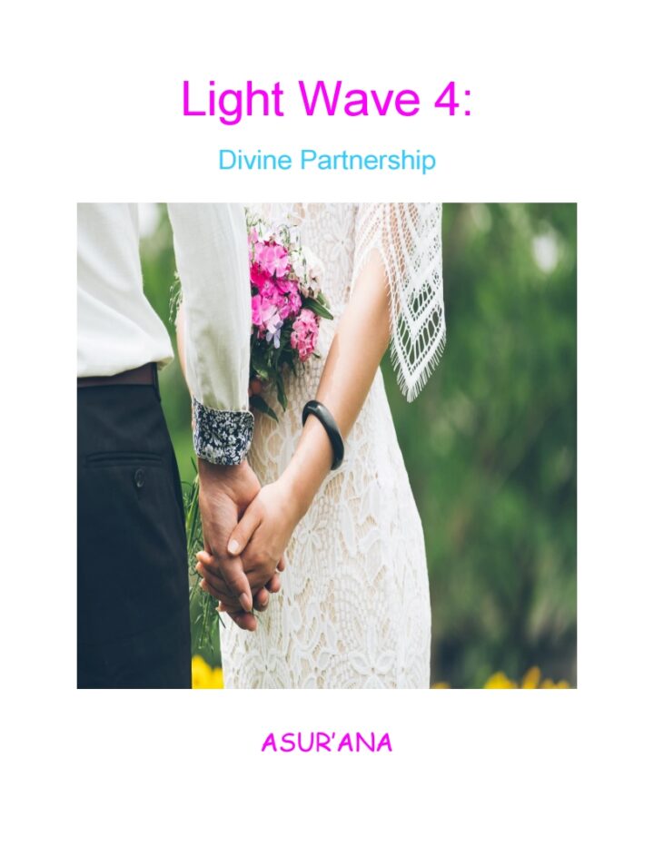Light Wave 4 Book Cover