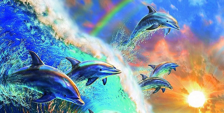 Image of dolphins jumping for joy with a rainbow and the setting sun in the background. Intending A Future Of Unity And Joy