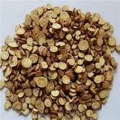 Glycyrrhiza Glabra, Radix (Licorice)