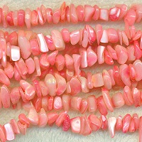 Mother of Pearl Beads
