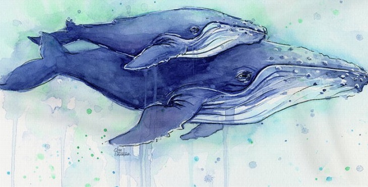 Image of a lovely water color painting of an adult whale and child whale. Giving Birth to Peace and Forgiving Fission Thoughtform