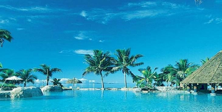 Image of palm trees in a tropical setting. Shaktar Relationship Studies #9