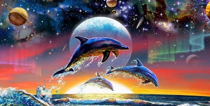 Image of jumping dolphins amongst galaxies and stars as the background with the Sun and ocean. Entering the Oneness Paradigm of Sustainability