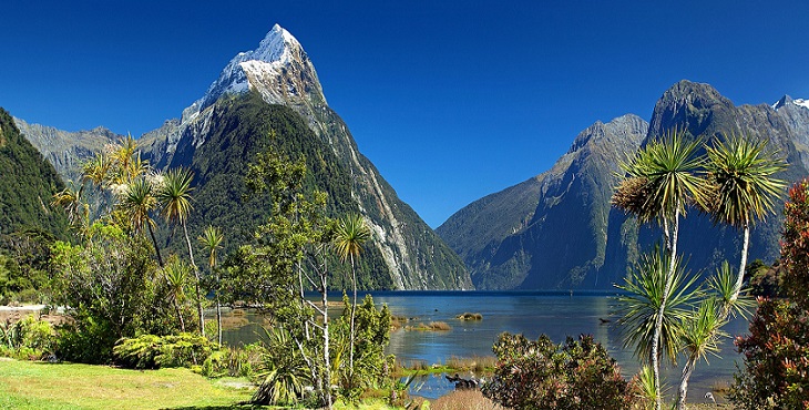Image of a gorgeous landscape in New Zealand. Star Seeds Archive #7