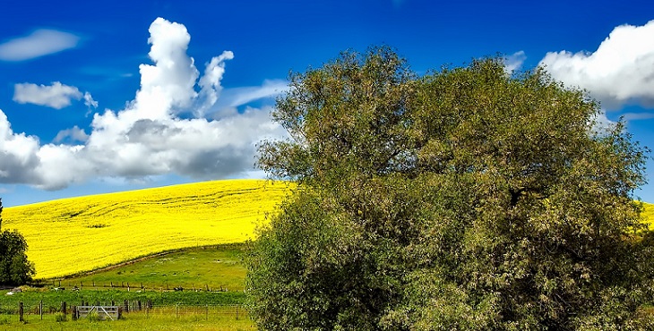 Image of a light-infused place in the natural and lovely Idaho. Psychology of Self #6