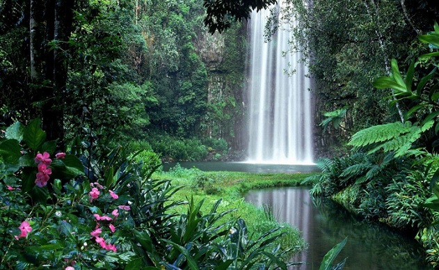 Incantations of a Medicine Woman 6