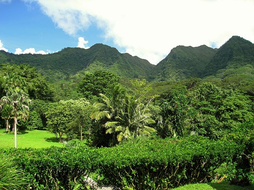 Image of the lush Limahuli Garden in Kauai.
